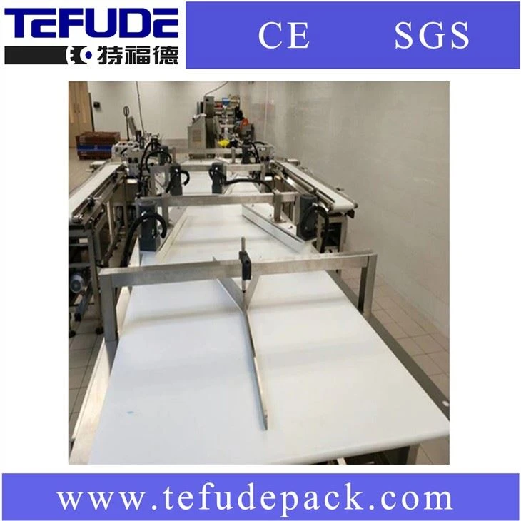 Cupcake Automatic Feeding And Packaging Line Tray Loading Packing Line Machines Manufacturing Packaging Project Custom Made Packaging Line